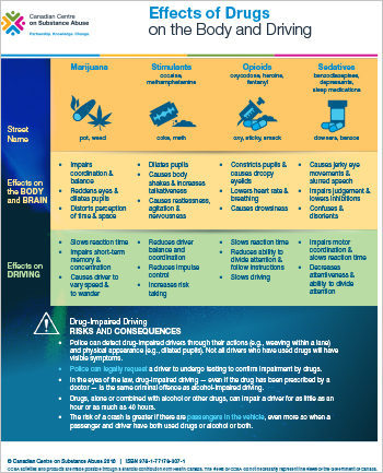Effects of Drugs on the Body and Driving [handout]