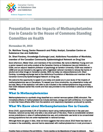 Presentation on the Impacts of Methamphetamine Use in Canada to the House of Commons Standing Committee on Health