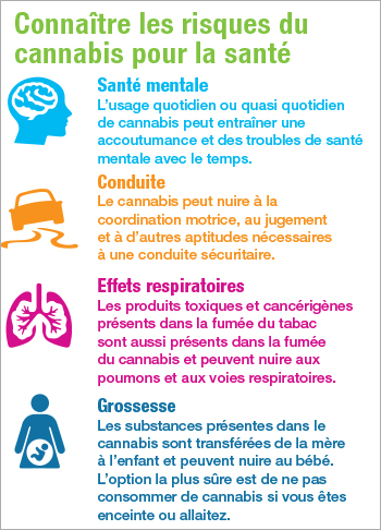 Connaissez les effets du cannabis sur la santé [infographie]
