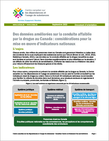 DID Brief - National implementation considérations