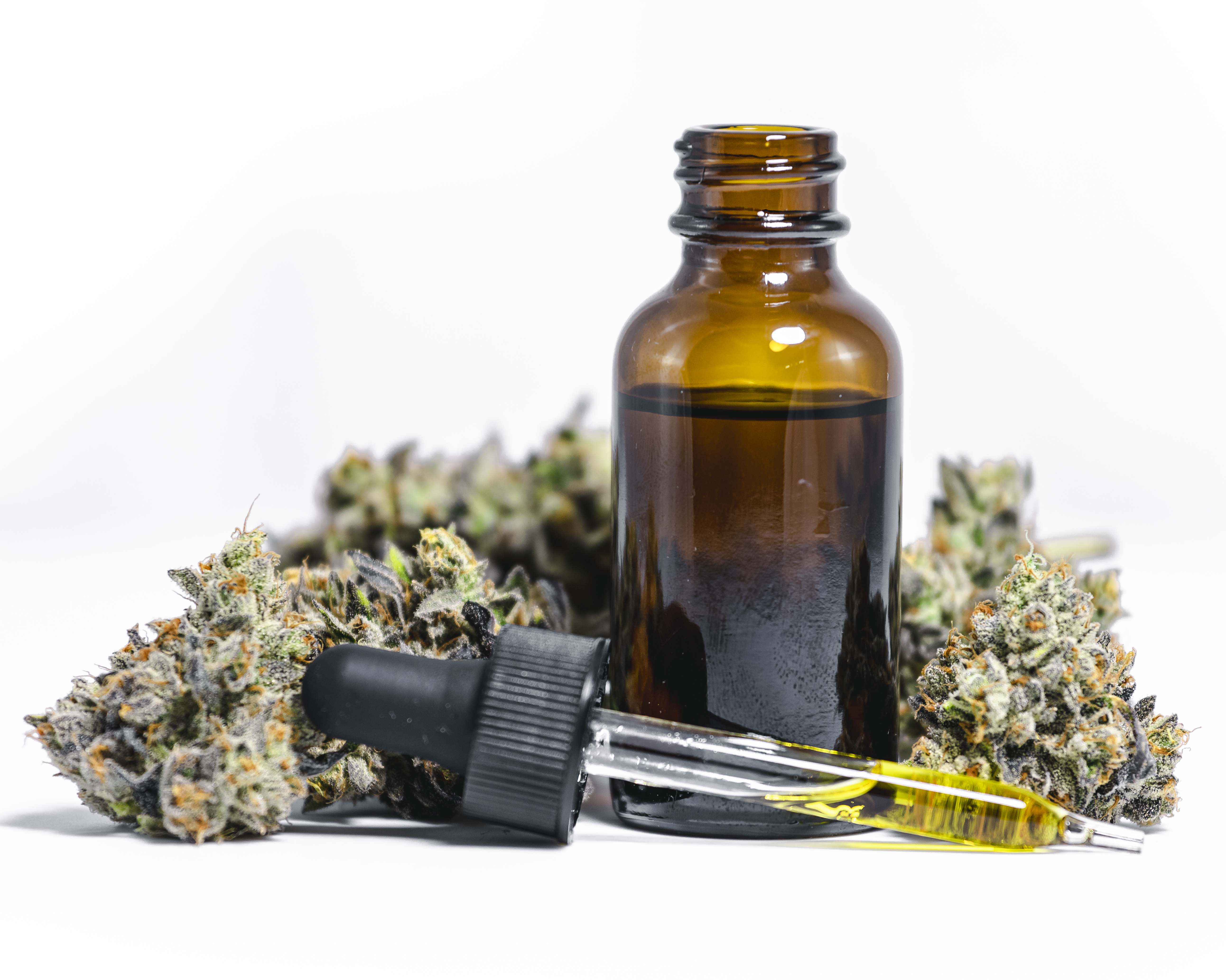 Amber glass bottle with a dropper filled with cannabis oil surrounded by dried cannabis buds on a white background.
