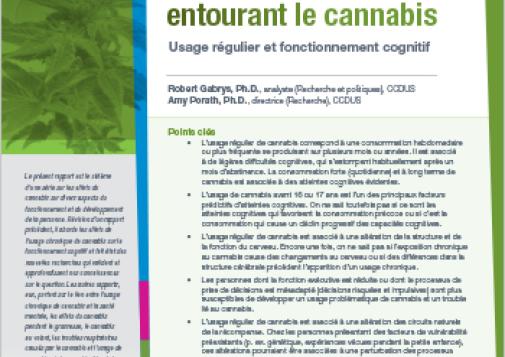 Dissiper la fumée entourant le cannabis : Usage régulier et fonctionnement cognitif