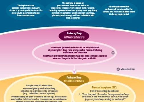 Care Pathway for Older Adults Experiencing Prescription Drug Harms [online version]