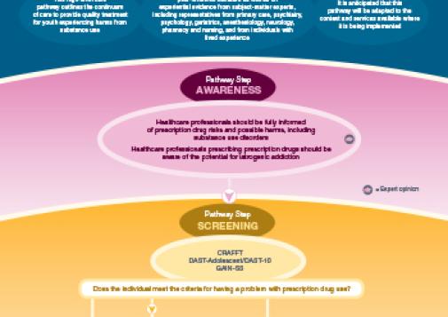 Care Pathway for Youth Experiencing Prescription Drug Harms [online version]