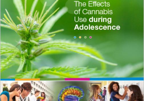 The Effects of Cannabis Use during Adolescence (Report)