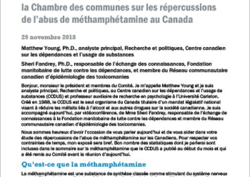 Présentation au Comité permanent de la santé de la Chambre des communes sur les répercussions de l’abus de méthamphétamine au Canada