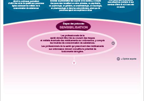Protocole thérapeutique pour personnes âgées subissant les méfaits des médicaments d’ordonnance (version imprimable)