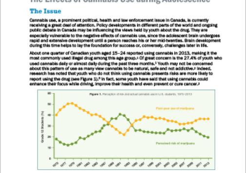 The Effects of Cannabis Use during Adolescence (Report in Short)