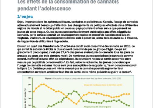 Les effets de la consommation de cannabis pendant l’adolescence (Rapport en bref)