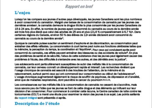 Ce que la jeunesse canadienne pense du cannabis (Rapport en bref)