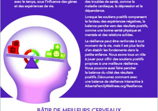Cartes d’information pour les bâtisseurs de cerveaux