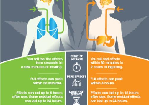 Cannabis: Inhaling vs Ingesting [infographic]