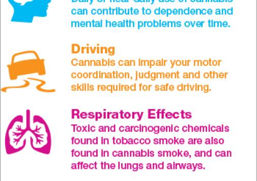 Know the Health Effects of Cannabis [infographic]
