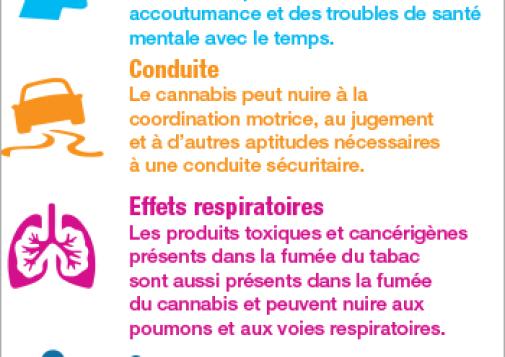 Connaissez les effets du cannabis sur la santé [infographie]