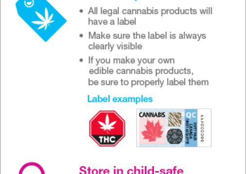 How to Safely Store Your Cannabis [infographic]