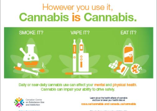 However You Use It, Cannabis is Cannabis [infographic]