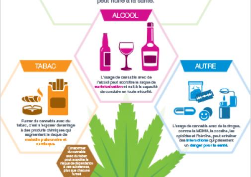 Le cannabis et les autres substances [infographie]