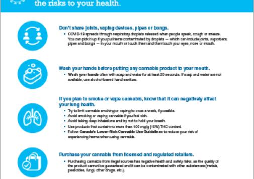 COVID-19 and Cannabis: How to Reduce Your Risk [infographic]
