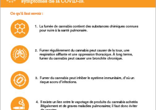 COVID-19 et fumée de cannabis : 4 choses à savoir [infographie]
