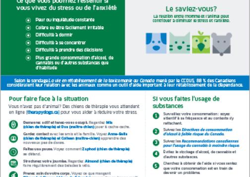 Composer avec le stress, l’anxiété et l’usage de substances pendant la COVID-19 : comment les animaux peuvent aider [infographie]