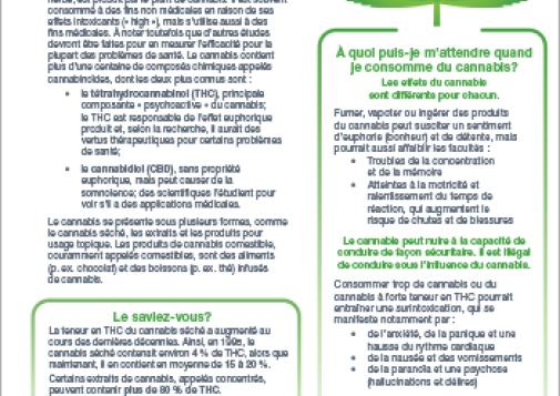 Un guide sur le cannabis pour les aînés