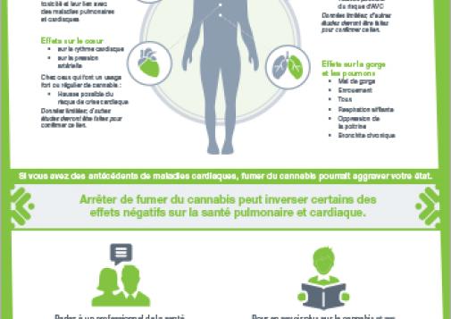 Les effets de la fumée de cannabis sur la santé [affiche]
