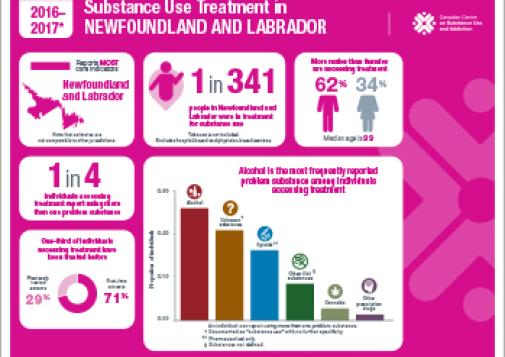 Substance Use Treatment in Newfoundland and Labrador 2016–2017 [infographic]