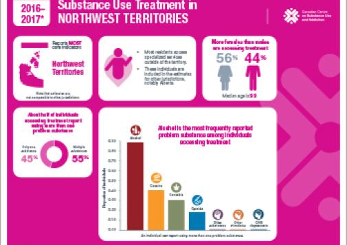 Substance Use Treatment in the Northwest Territories 2016–2017 [infographic]