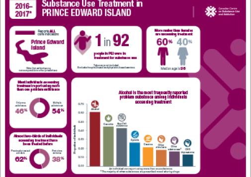 Substance Use Treatment in Prince Edward Island 2016–2017 [infographic]