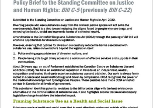 Policy Brief to the Standing Committee on Justice and Human Rights: Bill C-5 (previously Bill C-22) (Policy Brief)