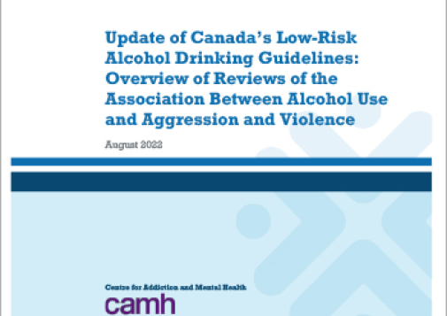 CCSA-LRDG-Rapid-Overview-of-alcohol-and-violence-revisions-per-CCSA-Apr