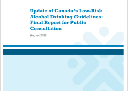 CCSA-LRDG-Update-of-Canada's-LRDG-Final-report-for-public-consultation-en
