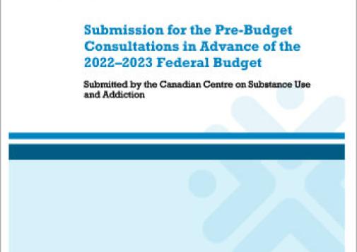 CCSA 2022 Pre Budget Submission