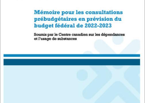 CCSA 2022 Pre-Budget Submission