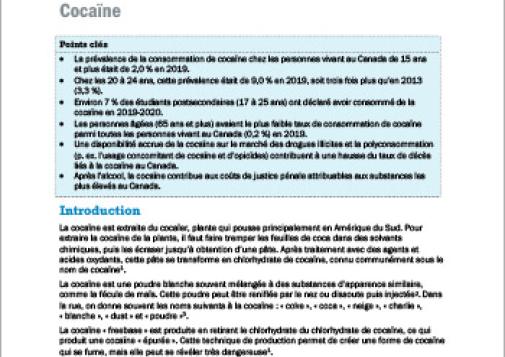 Canadian Drug Summary Cocaine 2022