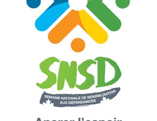 Graphique 1 - SNSD 2025 - Facebook/LinkedIn/X