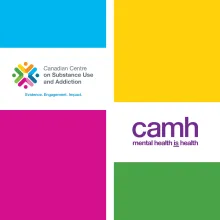 CCSA logo and camh logo.