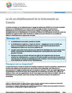 La vie en rétablissement de la toxicomanie au Canada (Survol du rapport)
