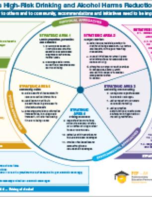 A Framework to Address High-Risk Drinking and Alcohol Harms Reduction on Canadian Campuses