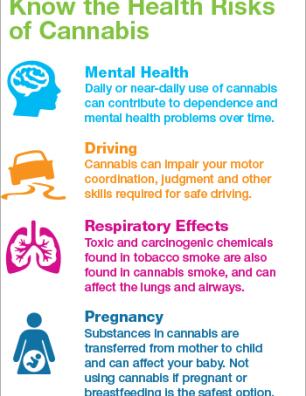 Know the Health Effects of Cannabis [infographic]