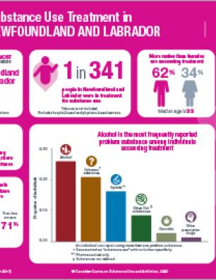 Substance Use Treatment in Newfoundland and Labrador 2016–2017 [infographic]