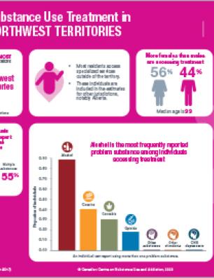 Substance Use Treatment in the Northwest Territories 2016–2017 [infographic]