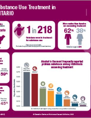 Substance Use Treatment in Ontario 2016–2017 [infographic]