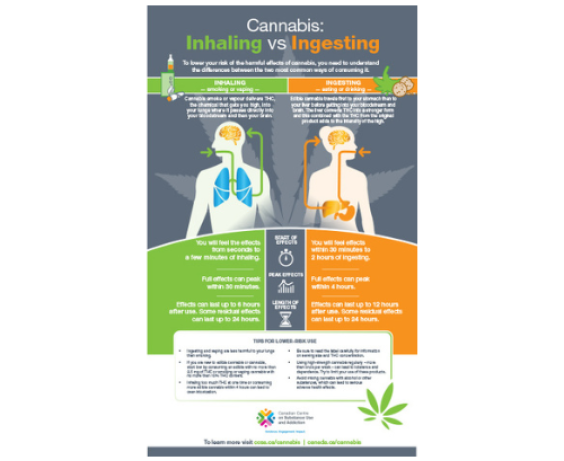 Cannabis: Inhaling vs Ingesting