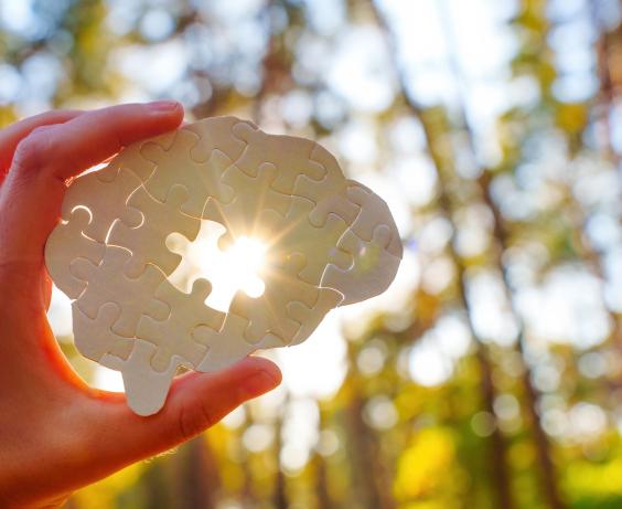 Hand holding a model of a brain made of puzzle pieces.