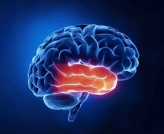 3D illustration of a human brain highlighting the hippocampus area in glowing orange within a blue brain structure.